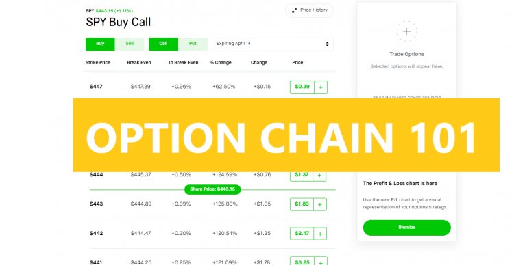 What is an Option Chain: A Guide for Beginners